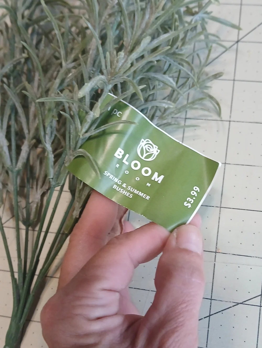 bloom set includes